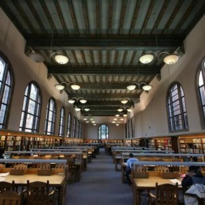 The Library's Harry Potter room is a room with full valuted ceilings, arched tall windows and full of long tables for sitting multiple people in.