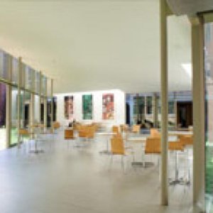 Large open space with high ceilings surrounded by windows. There are tables and chairs grouped in circles.