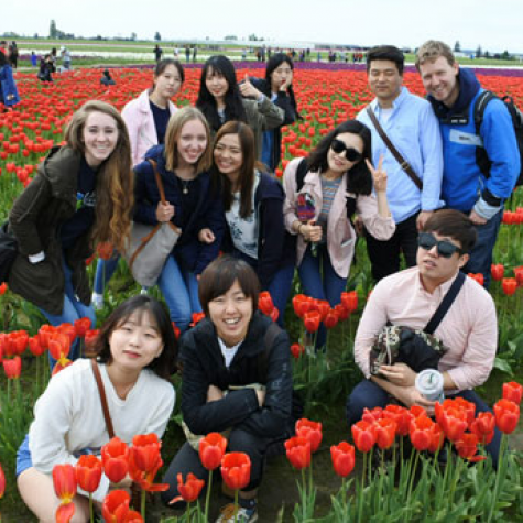 IEP students pose in a red tulip field