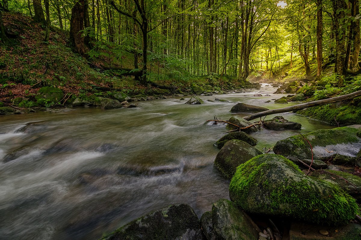 A close up of a beautiful river with filtered light